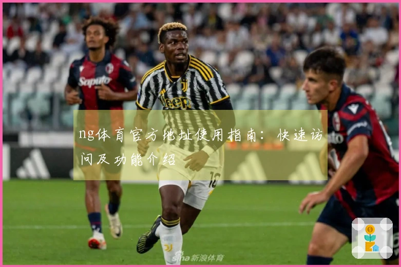 ng体育官方地址使用指南：快速访问及功能介绍