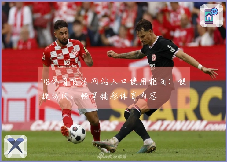 ng体育官方网站入口使用指南：便捷访问，畅享精彩体育内容