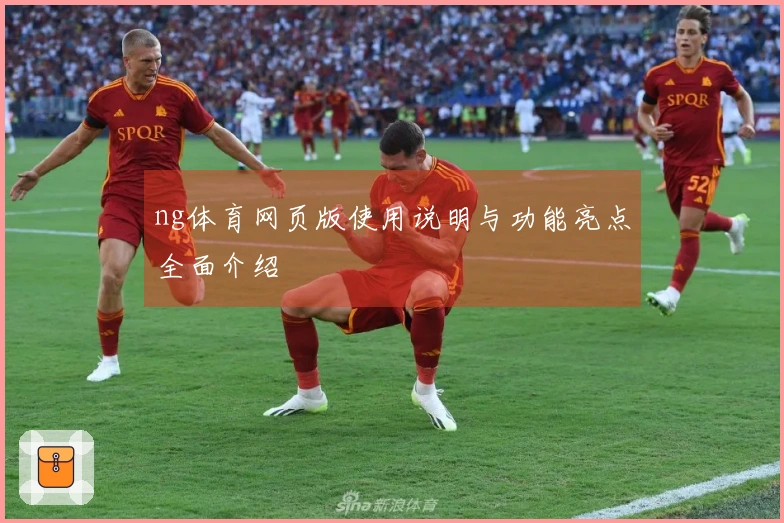 ng体育网页版使用说明与功能亮点全面介绍