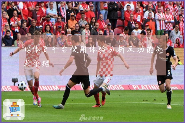 ng体育平台使用体验分析及功能亮点介绍