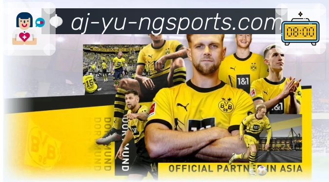 ng体育平台使用体验分析及功能亮点介绍